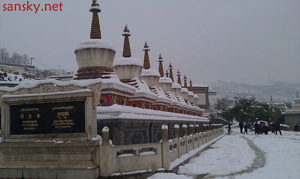 IMAG0092.jpg