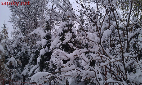 IMAG0099.jpg