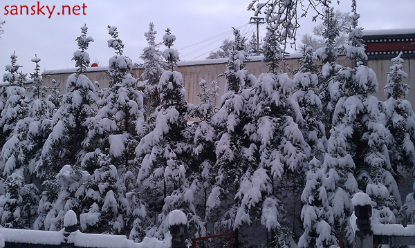 IMAG0100.jpg